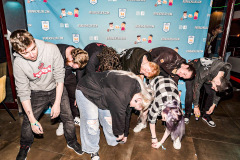 BBSC_AC_2025_1-006